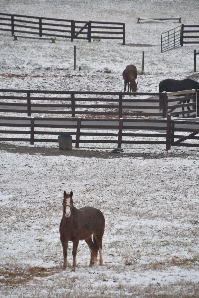 Snow in Morganton